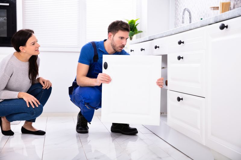Cabinet Repair And Installation Services For Modern Kitchens