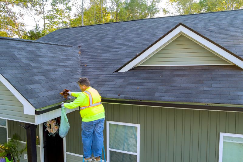 Gutter Cleaning And Repair Services For Proper Drainage